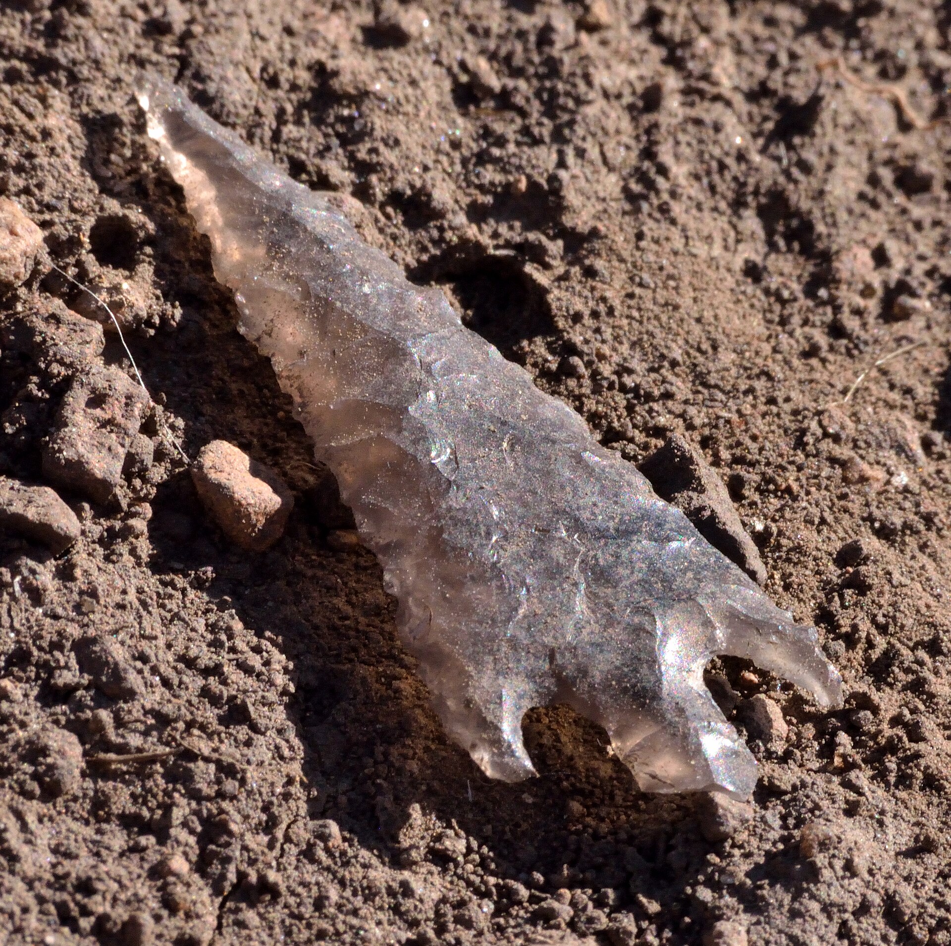An obsidian point showing overlapping flake scars