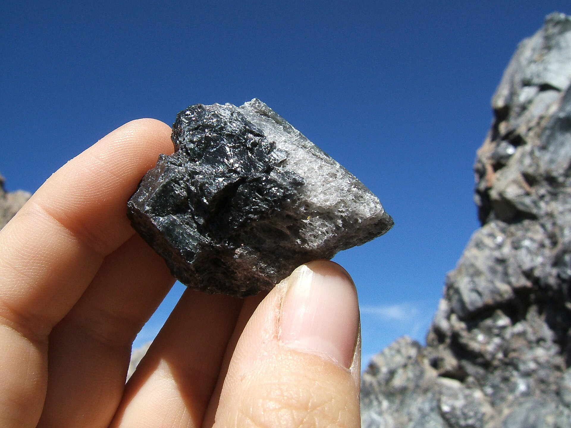 A dark obsidian specimen from Panum Crater showing glassy curved fracture surfaces